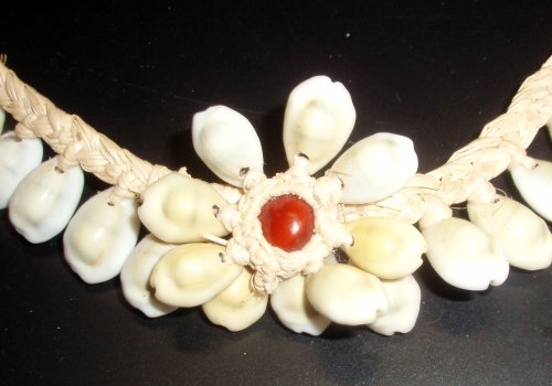 Adenanthera pavonina seed in a local necklace, ros ful: flower of shells