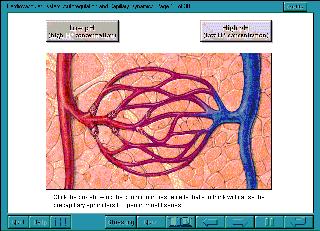 interActive Physiology